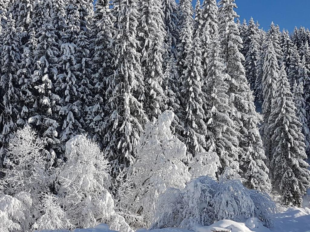 Pension Haus Rohrmoser Лунгёц Экстерьер фото